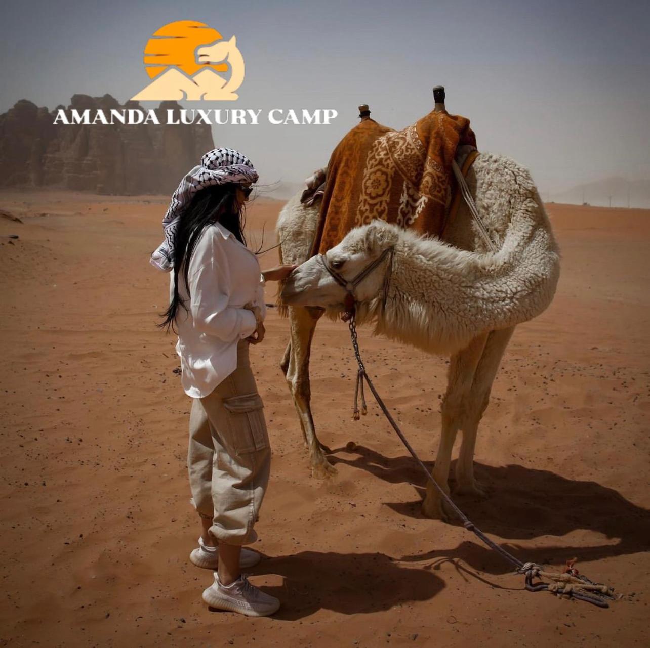 Amanda Luxury Camp Hotel Wadi Rum Eksteriør billede